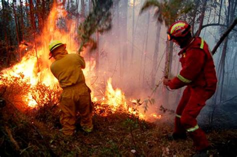 Estos incendios peligrosos se pueden expandir rápidamente y. Honduras reporta 170 incendios forestales y más de 5 mil ...