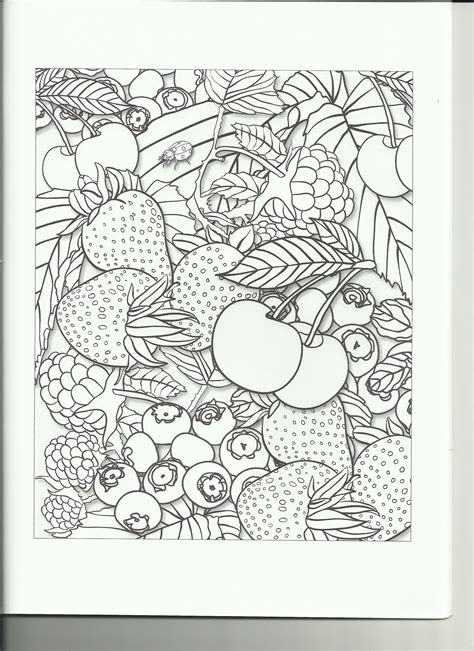 Finding quiet time for yourself right now can seem daunting. Coloring Book Review: Fruit Garden Coloring Book