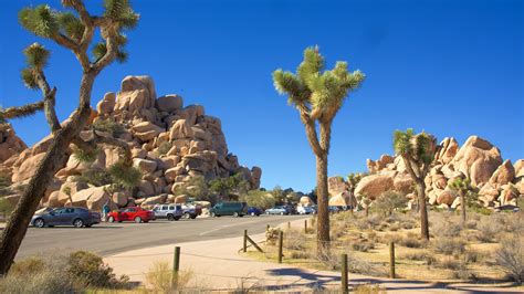 The Best Hotels In Joshua Tree National Park Free Cancellation On