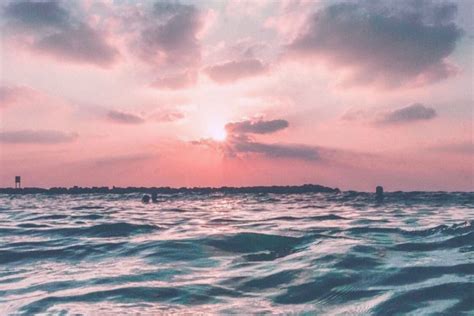 If you see some flower wallpaper tumblr you'd like to use, just click on the image to download to your desktop or mobile devices. Princess Tumblr Aesthetic Quotes Brown | Movie, Film ...