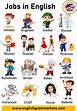 Jobs and Occupations Names with Pictures in English - English Grammar Here