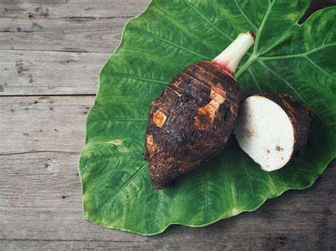 Plants for ponds & water gardens. Growing Taro In Containers: How To Care For Potted Taro Plants