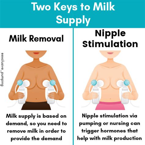Pumping Lactate Milk Images Telegraph