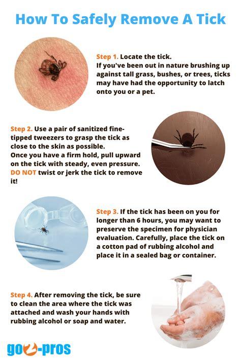 What To Do After A Tick Bite Go2 Pros