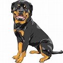 Perro de raza rottweiler | Vector Premium