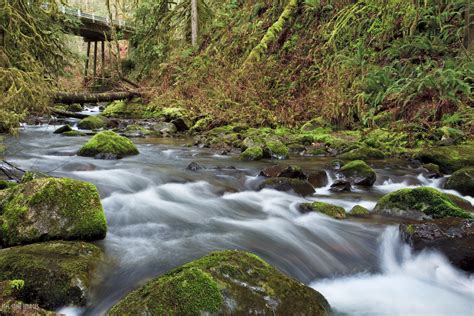Free Images Landscape Forest Waterfall Creek Bridge