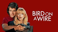 Bird on a Wire (1990) - Backdrops — The Movie Database (TMDb)