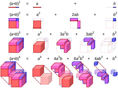 Binomial Expansion Visualization 1st 4th Dimension Math