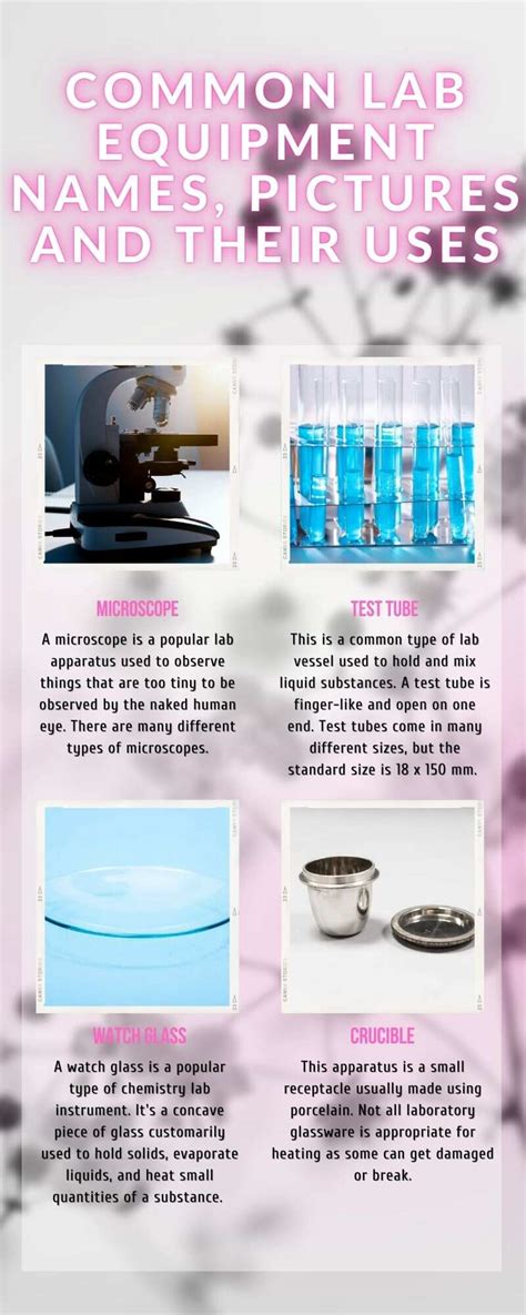 Most Common Laboratory Equipment And Their Uses With Pictures Legit Ng