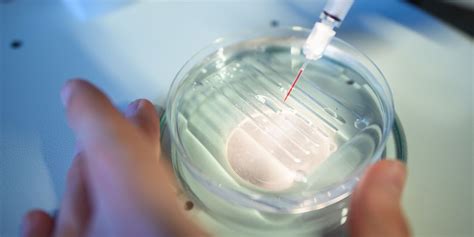 Chinese Scientist Claims Worlds First Genetically Modified Babies Wsj