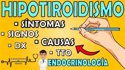 Hipotiroidismo Todo Lo Que Debes Saber Síntomas Y Signos Causas