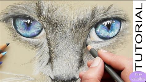 How To Draw Realistic Cat Eyes With Polychromos Step By Step Speed