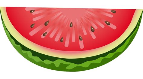 Free Melon Cliparts Download Free Melon Cliparts Png Images Free
