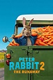 Peter Rabbit 2: Un birbante in fuga - Film - Cinematographe.it