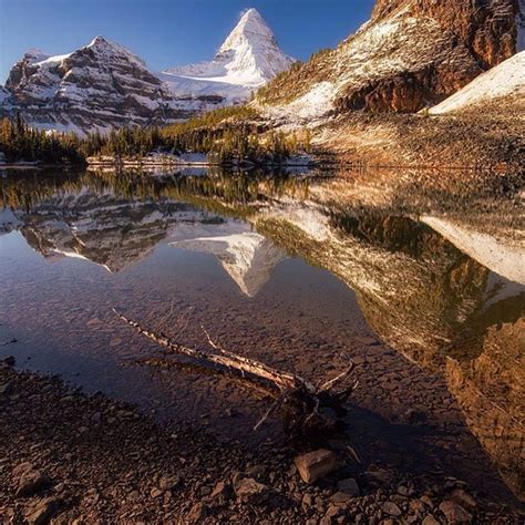 Mount Assiniboine Aka The Matterhorn Of The Rockies Regram Via