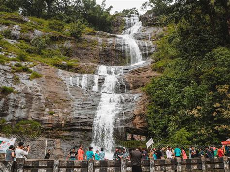 20 Things To Do In Munnar Kerala The Ultimate Munnar Travel Guide