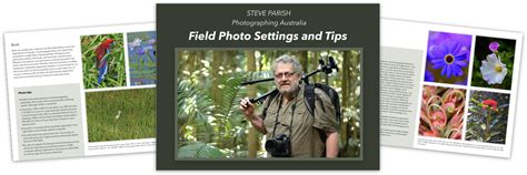 Find the perfect steve parish stock photos and editorial news pictures from getty images. About Steve Parish