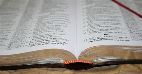 Extra Large Print Kjv Bible | Minimalis