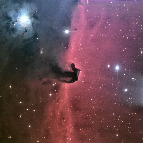 Horsehead Nebula Barnard 33 Telescope Live