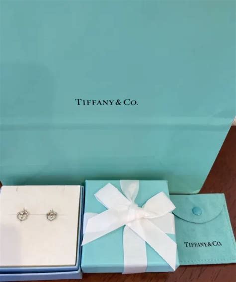 New Tiffany Co Tiffany Co Earrings Apple Silver Case Drawstring Paper