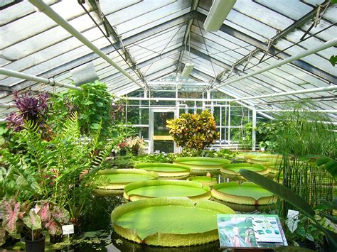 Die einzigartige kombination von musik und lyrik im idyllischen umfeld des botanischen gartens. Gorgeous photos of the Botanischer Garten Hamburg | BOOMSbeat