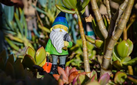 Garden Gnome Wallpapers Top Free Garden Gnome Backgrounds