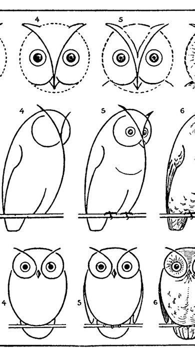 How To Draw An Owl With Printable Worksheet Owls Drawing Owl