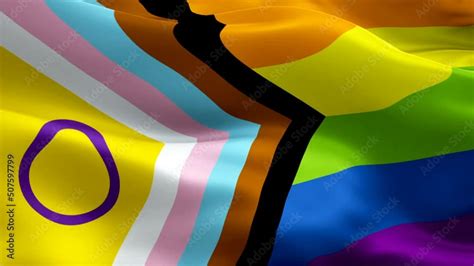 Lgbt Flag Diversity Rainbow Intersex Inclusive Flag Video Waving In