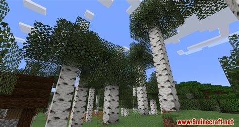 Cull Less Leaves Reforged Mod 1202 1192 Boosting Your