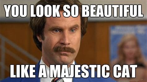 30 Youre Beautiful Memes To Express Aesthetic Appreciation