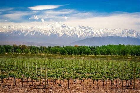 Argentinian Wine Regions Wine Guide Virgin Wines