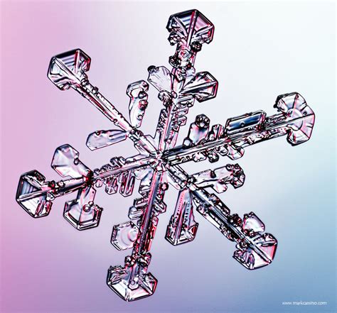 2013 Snow Crystals