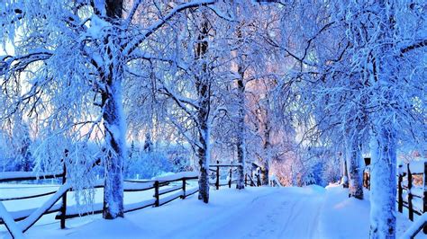 Pretty Winter Wallpapers Top Free Pretty Winter Backgrounds