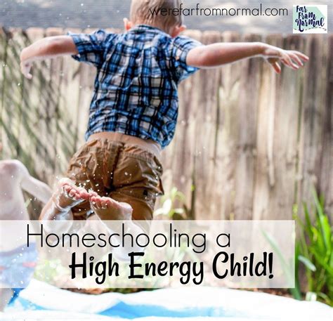 Homeschooling A High Energy Child Homeschool High Energy Children