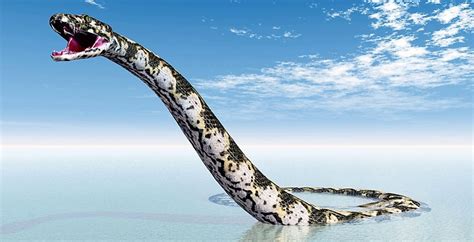 Le Plus Grand Serpent Du Monde Une Longueur Dune Dizaine De Mètre