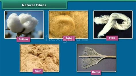 A Complete Guide On Natural Fibres Its Cultivation And Uses Natural