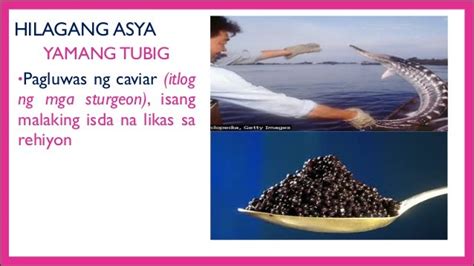 Likas Na Yaman Sa Asya