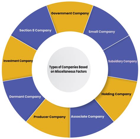 What Are The Different Types Of Companies Under Companies Act 2013