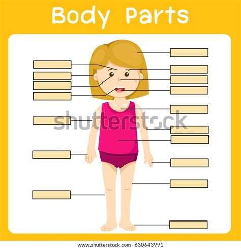 Illustrator Of Girl With Labeled Body Parts Hoodoo Wallpaper