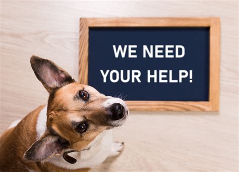 Fundraising Animal Charity Warrington Animal Welfare