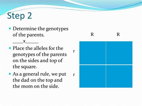 PPT How To Make A Punnett Square PowerPoint Presentation Free