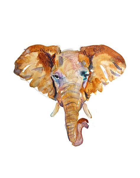 Elephant Head Watercolor Animal Size 11 X 14 In