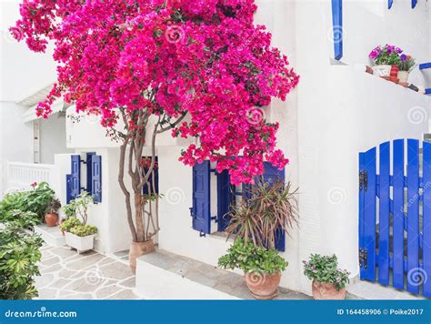 Greece Paros Island Cyclades Beautiful View Of Traditional Greek