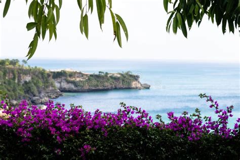 Beautiful Coastal Scenery Along The Bali Coastline Framed By Plants