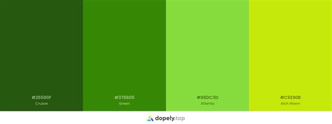 Green Color Palette Inspirations With Names And Hex Codes Inside Colors