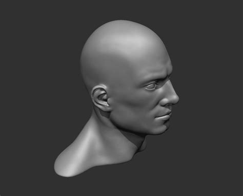 Realistic Male Head 3d Model Cgtrader