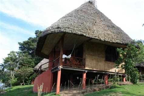 7 Incredible Rainforest Houses You Can Actually Stay In