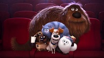 Watch The Secret Life of Pets 2016 Online Free on 123moviesfree