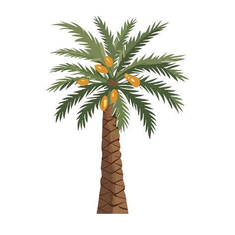 Date Palm Png Clipart Transparent Background Free 23790907 Png