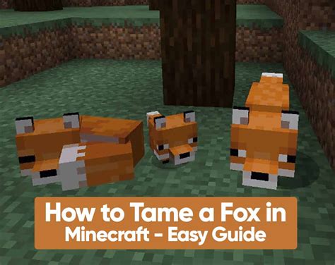How To Tame A Fox In Minecraft Easy Guide